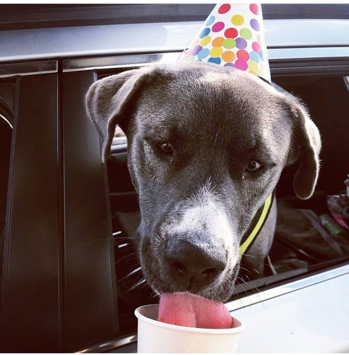 Coffee Shop «Black Rock Coffee Bar», reviews and photos, 2228 SE 182nd Ave, Portland, OR 97233, USA