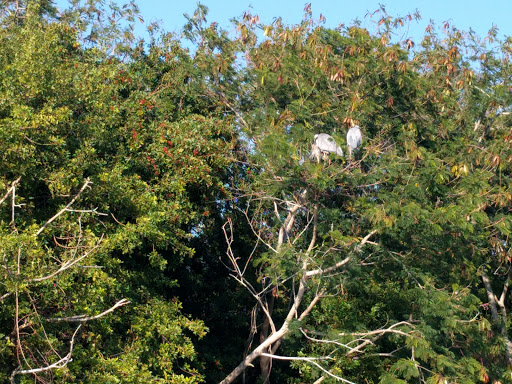 Golf Club «Terra Ceia Bay Country Club», reviews and photos, 2802 Terra Ceia Bay Blvd, Palmetto, FL 34221, USA