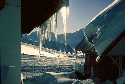 Les Gentianes à Huez
