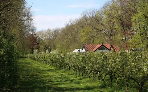 Landgoed de Olmenhorst image