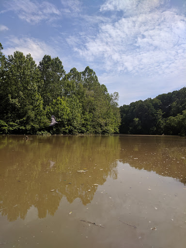 Canoe & Kayak Store «West River Paddle Sports», reviews and photos, 655 W River Rd, Vermilion, OH 44089, USA