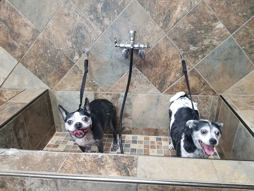 Pet Supply Store «Pet Valu», reviews and photos, 1305 West Seventh Street #28, Frederick, MD 21702, USA