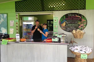 Daintree Ice Cream Company image