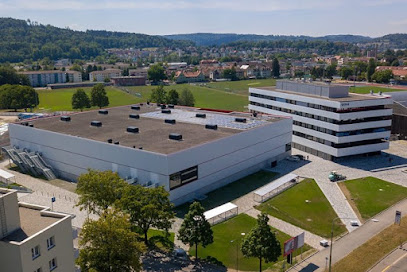 swissbiomechanics ag Winterthur