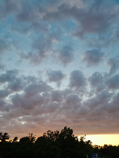 Grocery Store «Meijer», reviews and photos, 15000 US-31, Grand Haven, MI 49417, USA