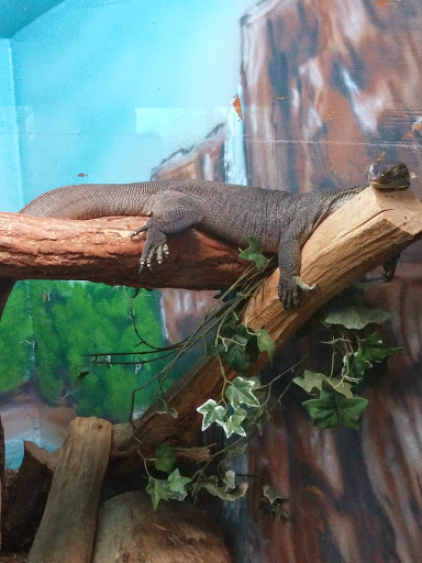 Golf Club «Stone Harbor Golf Club», reviews and photos, 905 U.S. 9, Cape May Court House, NJ 08210, USA