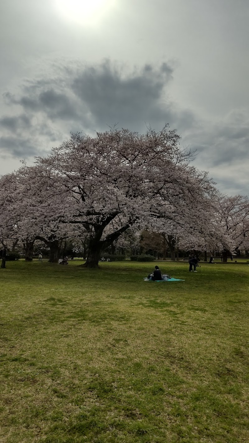 大庭城址公園