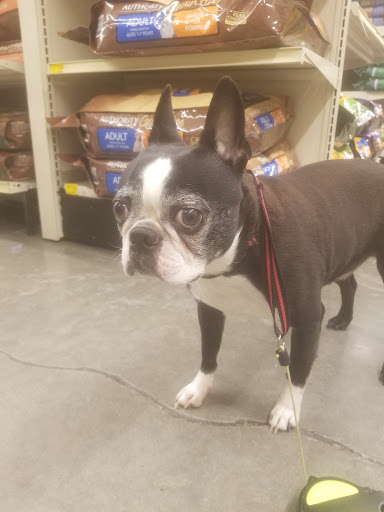 Pet Supply Store «PetSmart», reviews and photos, 4190 Vinewood Ln N, Plymouth, MN 55442, USA