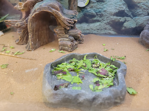 Pet Supply Store «Petco Animal Supplies», reviews and photos, 2358 S Range Ave, Denham Springs, LA 70726, USA