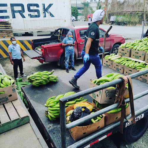 Opiniones de Venta al por mayor de plátano verde en Guayaquil - Tienda de ultramarinos
