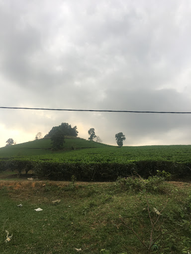 Top 20 chuỗi cửa hàng kepal Quận Hà Đông Hà Nội 2022