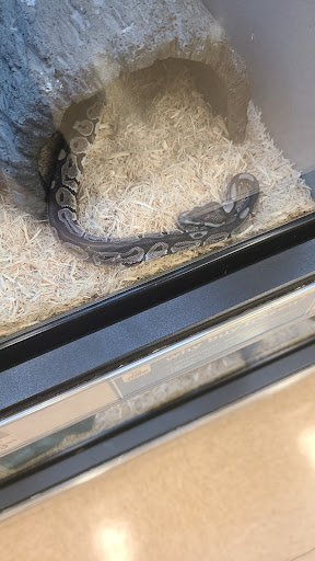 Pet Supply Store «Petco Animal Supplies», reviews and photos, 3055 Columbia Blvd #117, Titusville, FL 32780, USA