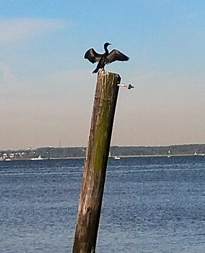 Park «Lemon Creek Park», reviews and photos, Hylan Blvd, Staten Island, NY 10309, USA