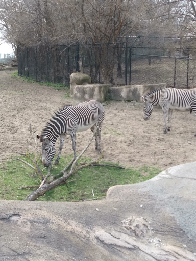 Animal Park «Detroit Zoo Safari Station Exit», reviews and photos, Ludlow Pl, Huntington Woods, MI 48070, USA
