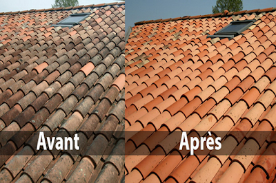HABITAT + à Libourne