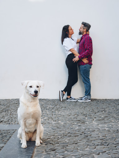 Más recientes
