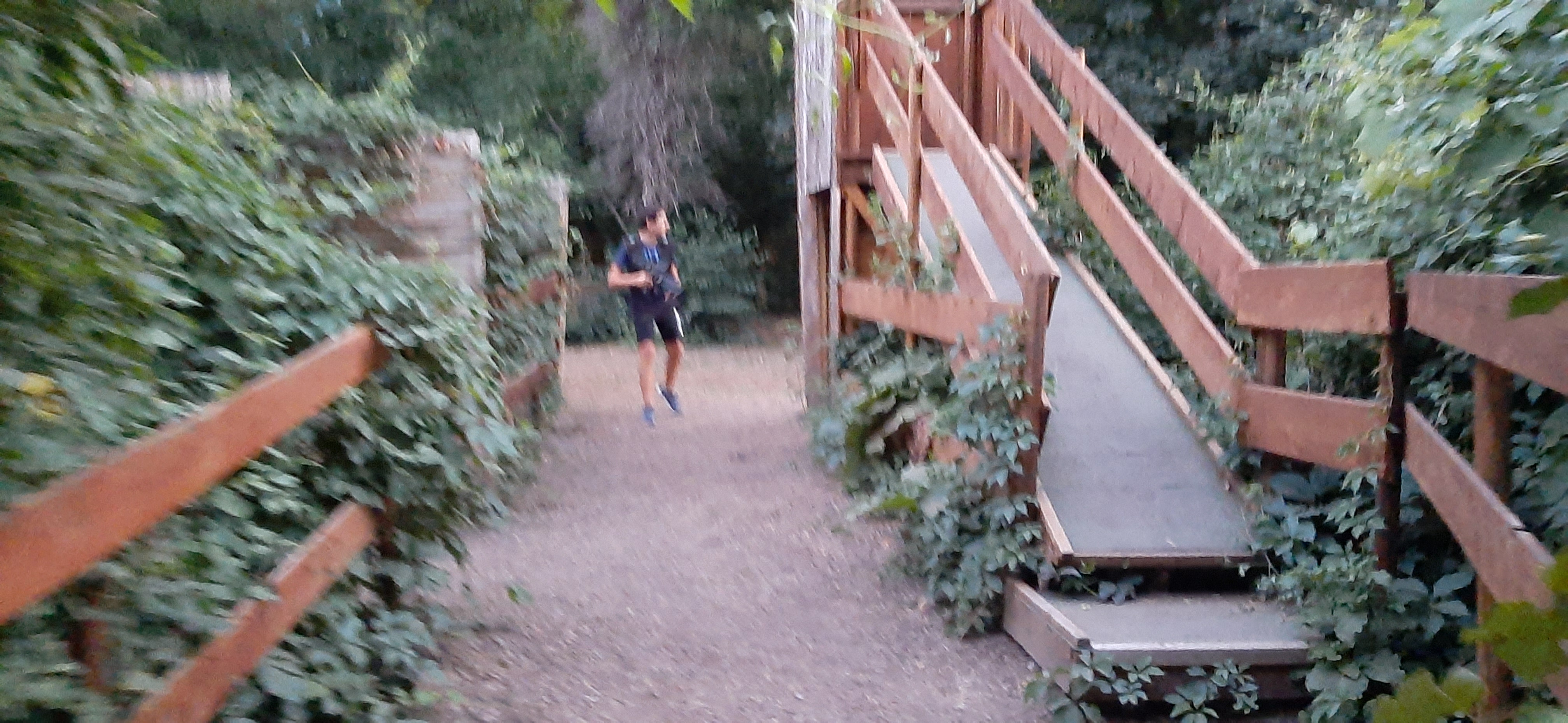 Photo n° 3 de l'avis de Serge.L fait le 28/07/2020 à 04:50