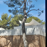 Photo n° 2 de l'avis de Angenic.a fait le 01/08/2023 à 18:20 pour Fondation Maeght à Saint-Paul-de-Vence