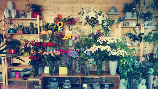 L'Adresse Florale, Fleuriste Toulouse