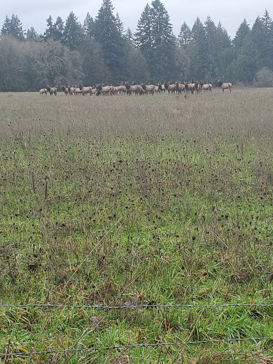 Canoe & Kayak Rental Service «Scappoose Bay Paddling Center», reviews and photos, 57420 Old Portland Rd, Warren, OR 97053, USA