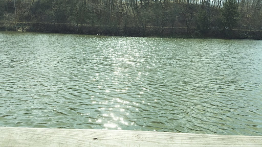 Park «Gorge Metro Park», reviews and photos, 1160 Front St, Cuyahoga Falls, OH 44223, USA