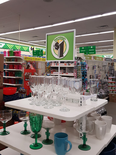 Dollar Store «Dollar Tree», reviews and photos, 169 Newhall St, Lowell, MA 01852, USA