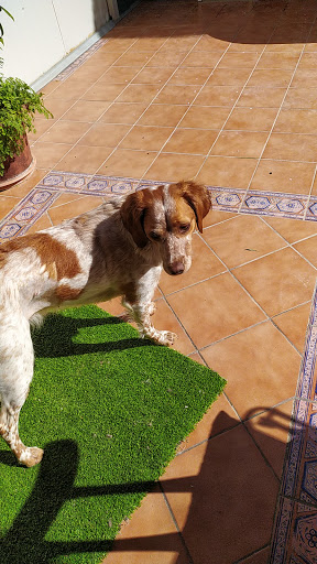 Consultorio Veterinario Montserrat en Santa Eulàlia de Ronçana