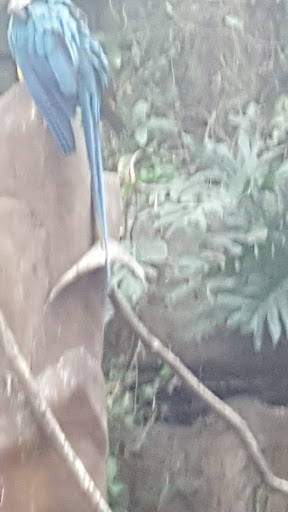 Zoo «Wild Kingdom Pavilion», reviews and photos, 3701 S 10th St, Omaha, NE 68108, USA