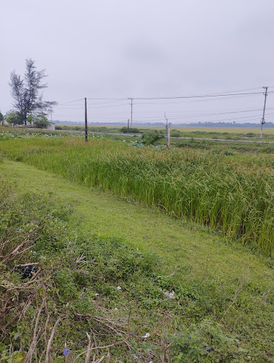 Top 20 cửa hàng 2guys1box Huyện Vĩnh Linh Quảng Trị 2022