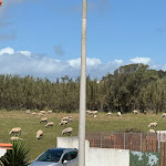 Photo n°1 de l'avis de B..e fait le 10/04/2024 à 19:51 sur le  Hotel Eira Da Pedra à Vila Nova de Milfontes