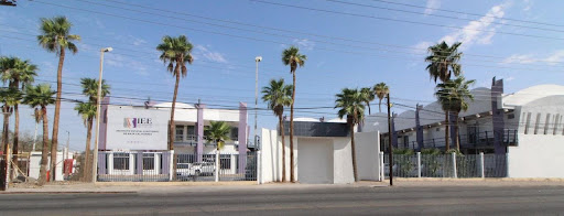 Instituto Estatal Electoral de Baja California