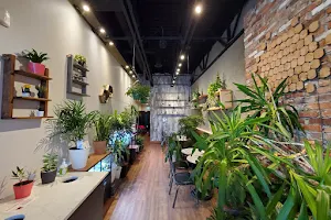 Urban Plant Cafe image