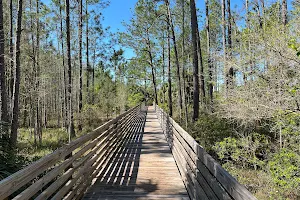 Cypress Creek Nature Preserve (Tampa) image