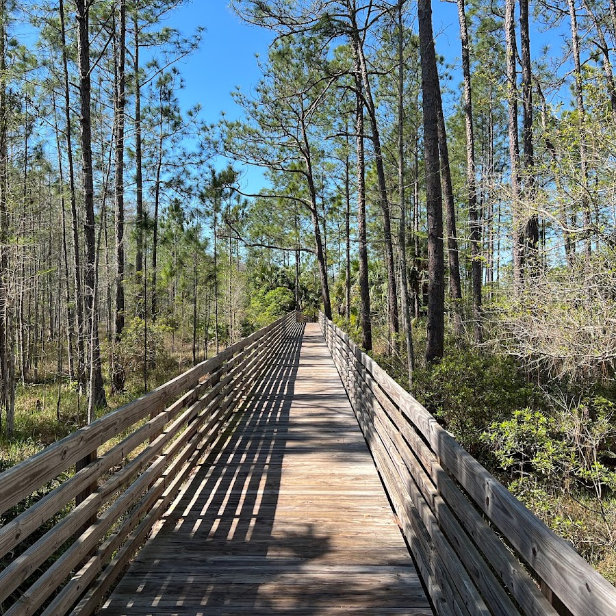 Cypress Creek Nature Preserve (Tampa)