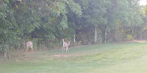 Golf Club «Lindenwood Golf Club», reviews and photos, 360 Galley Rd, Canonsburg, PA 15317, USA