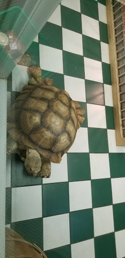 Pet Store «Westwood Pets Unlimited», reviews and photos, 15 Westwood Ave, Westwood, NJ 07675, USA