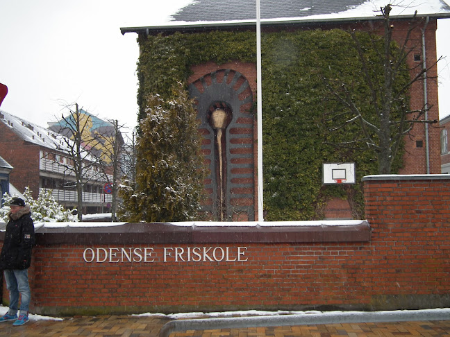 Anmeldelser af Odense Friskole i Ringe - Skole