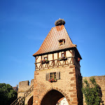Photo n° 6 de l'avis de Jérôme.o fait le 17/06/2023 à 16:00 pour Auberge Le Meisenberg à Châtenois