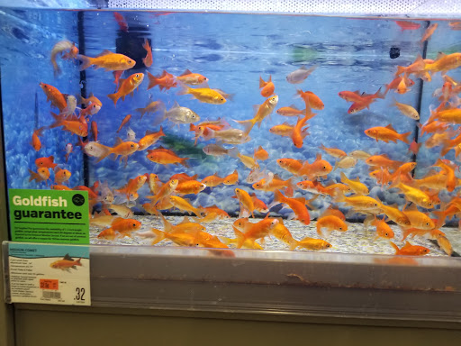 Pet Supply Store «Pet Supplies Plus», reviews and photos, 2018 Sutterville Rd #112, Sacramento, CA 95822, USA