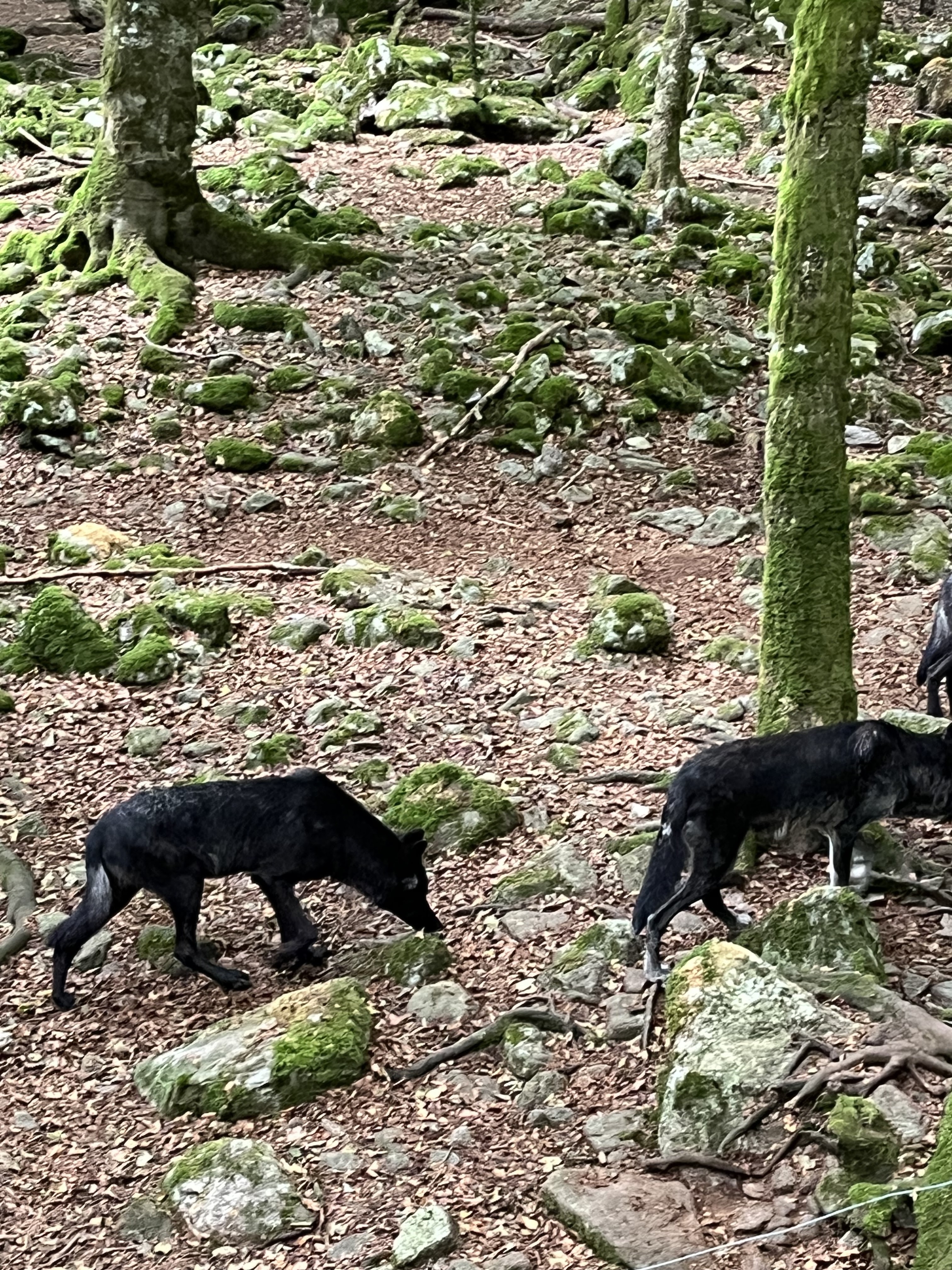 Photo n° 9 de l'avis de manuel. fait le 22/07/2023 à 09:46