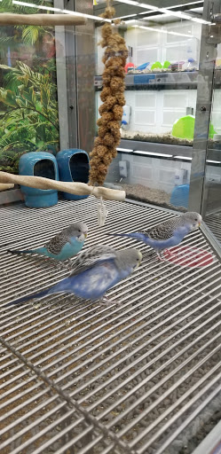 Pet Supply Store «Petco Animal Supplies», reviews and photos, 12638 Capital Blvd, Wake Forest, NC 27587, USA