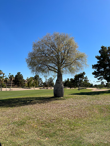 Golf Course «Westbrook Village Golf Club Lakes Course», reviews and photos, 19260 N Westbrook Pkwy, Peoria, AZ 85382, USA