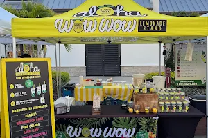 Wow Wow Lemonade Sarasota LWR image