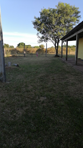 Opiniones de Escuela N°46, Rincón de Pacheco. en Artigas - Escuela