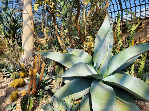 Park «Garfield Park Conservatory», reviews and photos, 300 N Central Park Ave, Chicago, IL 60624, USA