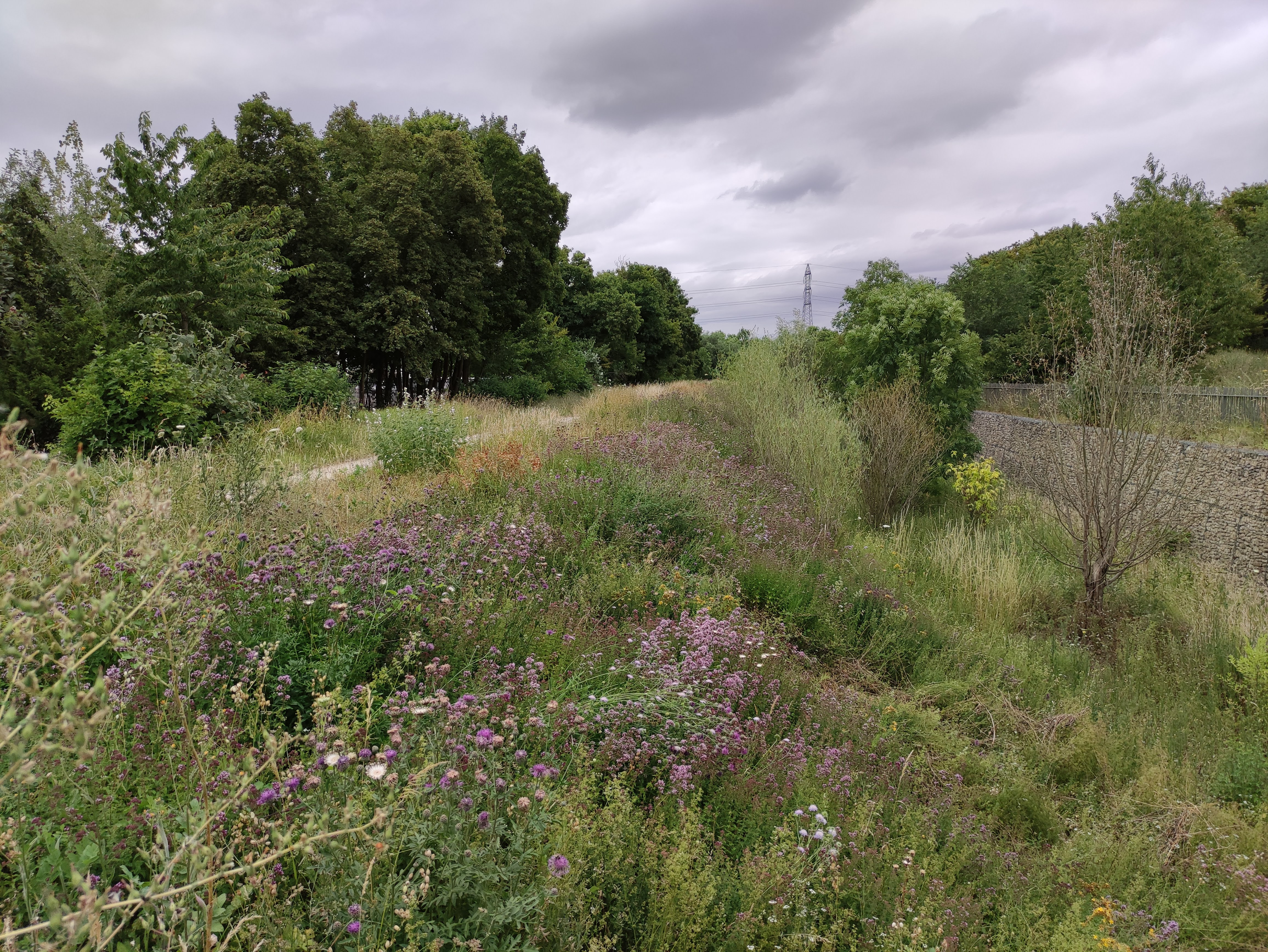 Photo n° 14 de l'avis de Sanjy.u fait le 25/07/2020 à 15:24