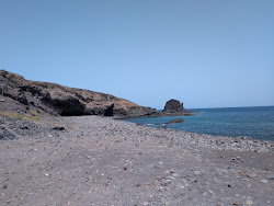 Playa Del Roque'in fotoğrafı vahşi alan