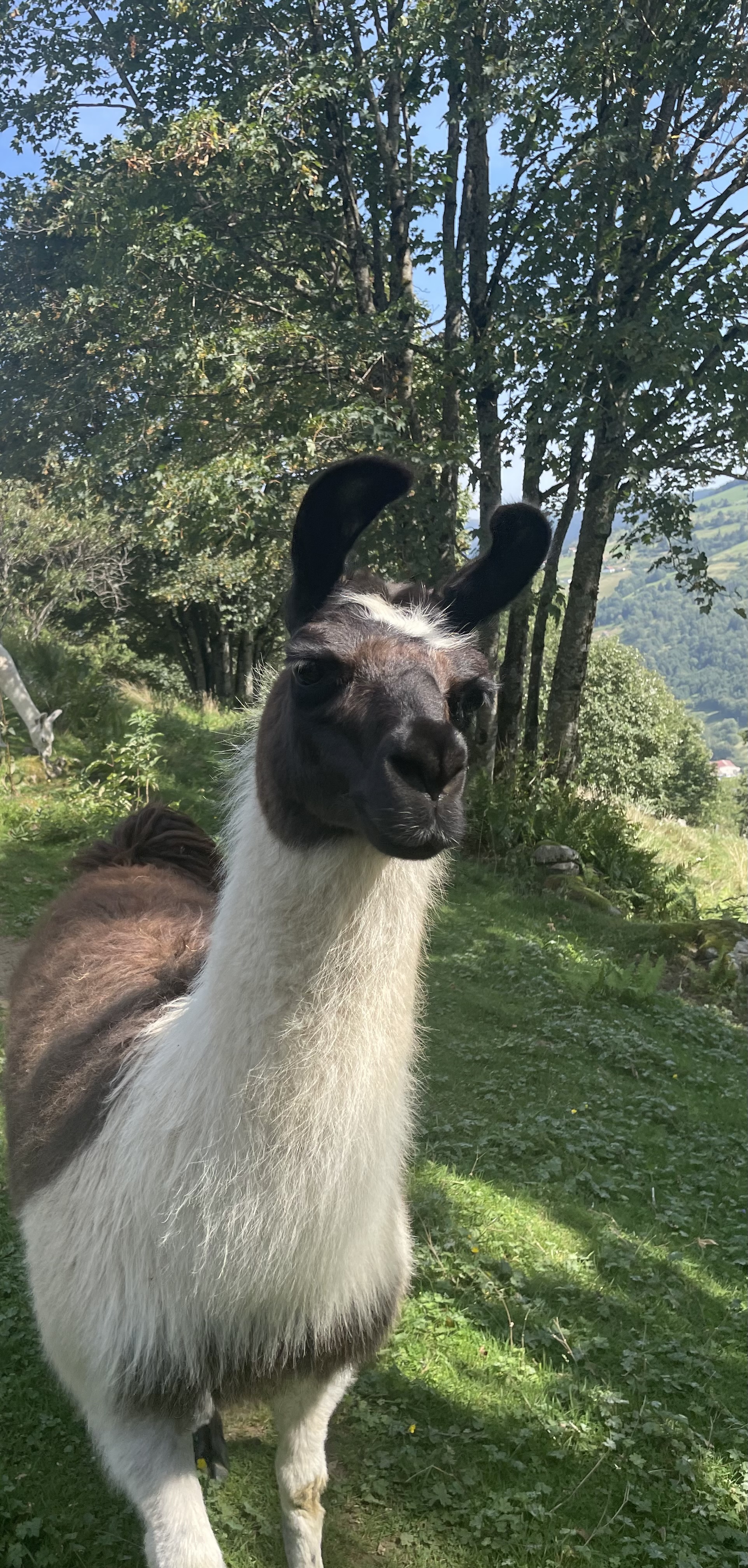 Photo n° 1 de l'avis de Hélène.p fait le 25/08/2023 à 12:39