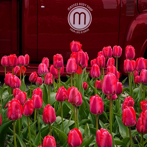 Auto Body Shop «Mannes Body Shop», reviews and photos, 500 Chicago Dr, Holland, MI 49423, USA