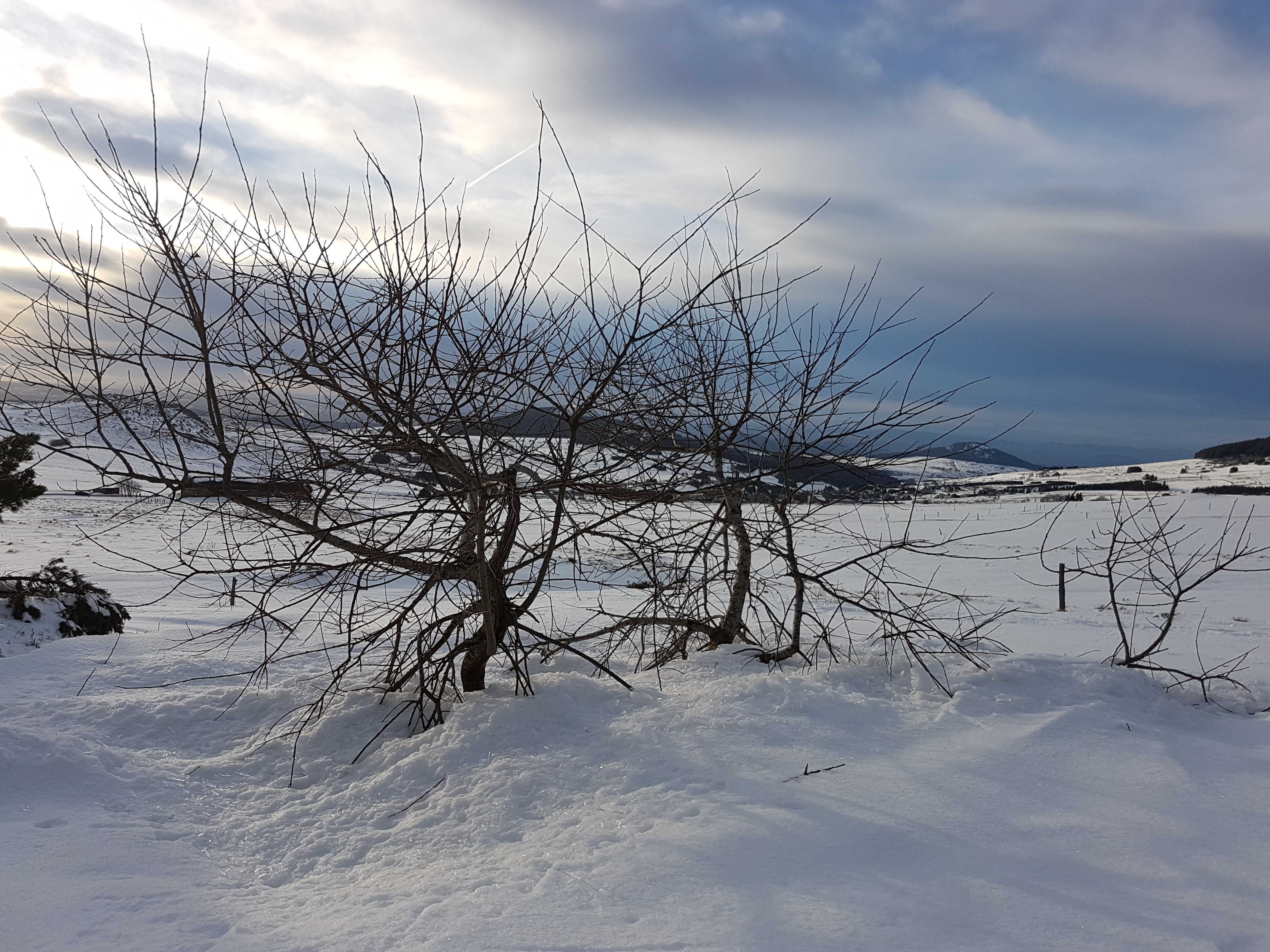 Photo n° 3 de l'avis de Philippe.i fait le 26/12/2017 à 16:00